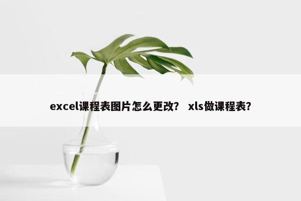 excel课程表图片怎么更改？ xls做课程表？