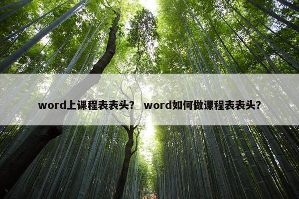 word上课程表表头？ word如何做课程表表头？