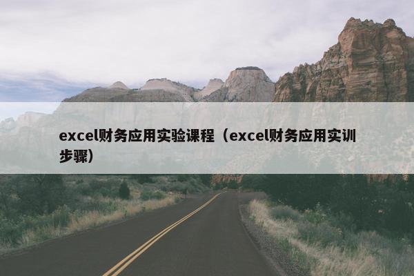 excel财务应用实验课程（excel财务应用实训步骤）