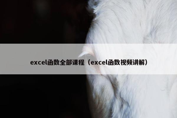 excel函数全部课程（excel函数视频讲解）