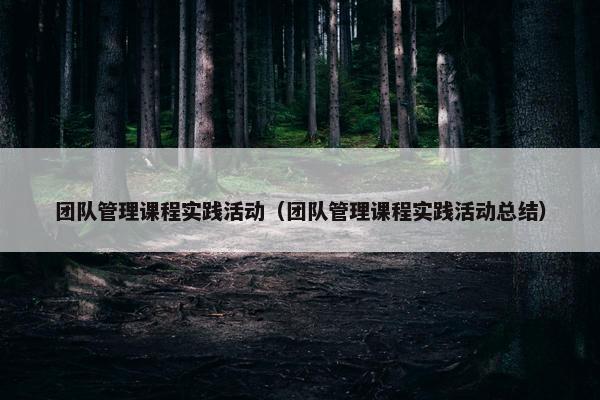 团队管理课程实践活动（团队管理课程实践活动总结）