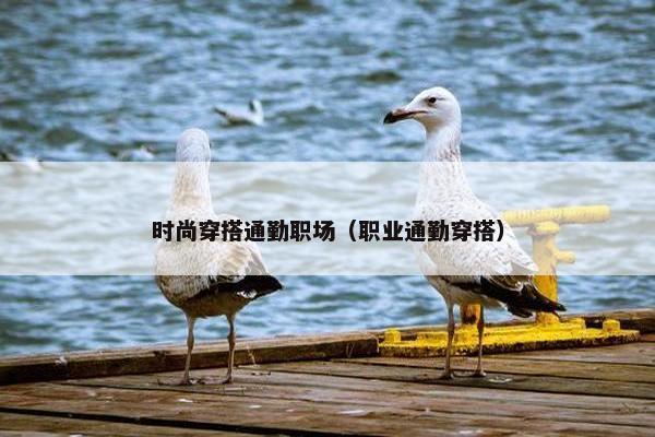 时尚穿搭通勤职场（职业通勤穿搭）