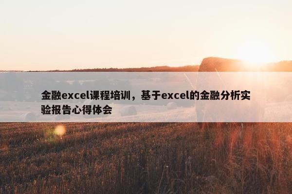 金融excel课程培训，基于excel的金融分析实验报告心得体会