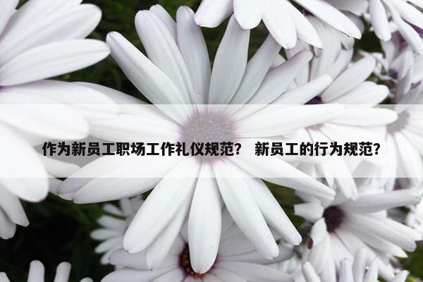 作为新员工职场工作礼仪规范？ 新员工的行为规范？