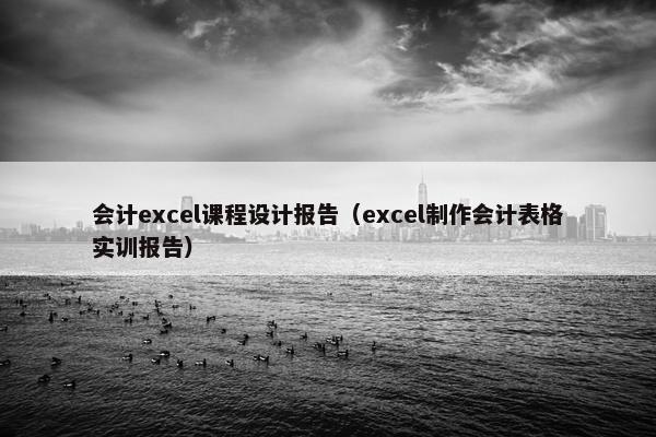 会计excel课程设计报告（excel制作会计表格实训报告）