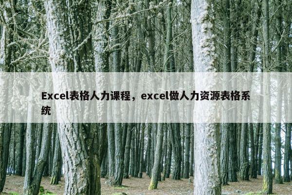 Excel表格人力课程，excel做人力资源表格系统