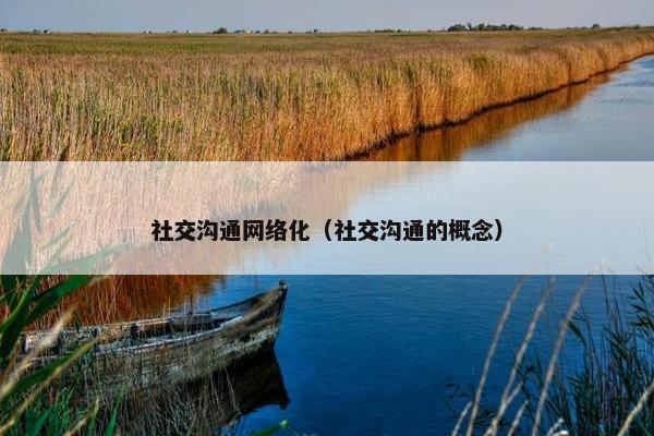 社交沟通网络化（社交沟通的概念）