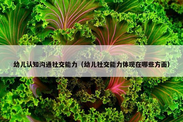 幼儿认知沟通社交能力（幼儿社交能力体现在哪些方面）