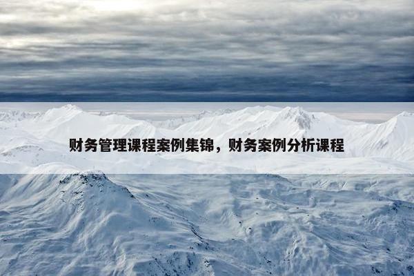 财务管理课程案例集锦，财务案例分析课程