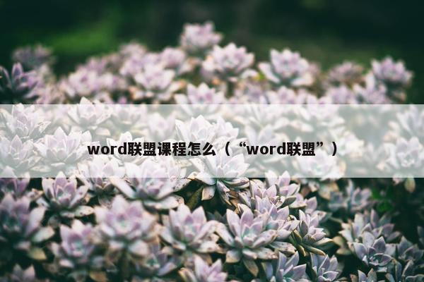 word联盟课程怎么（“word联盟”）