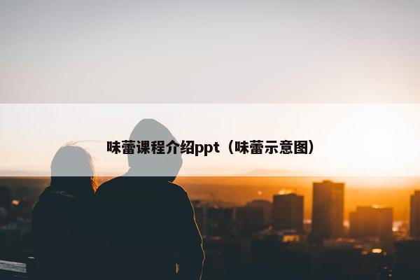 味蕾课程介绍ppt（味蕾示意图）