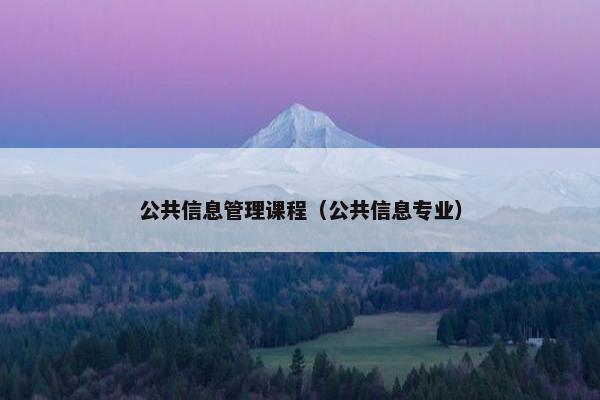 公共信息管理课程（公共信息专业）