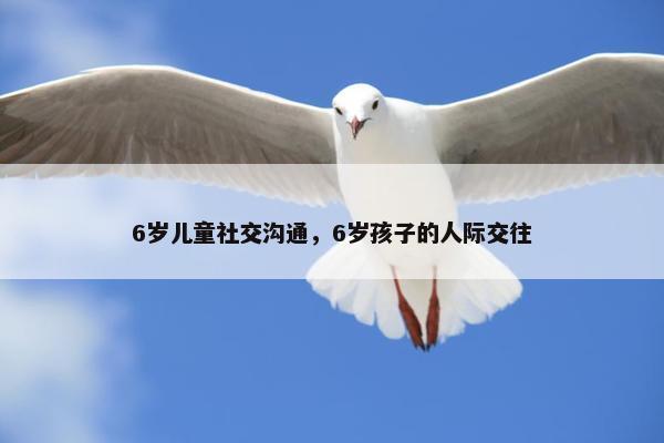 6岁儿童社交沟通，6岁孩子的人际交往
