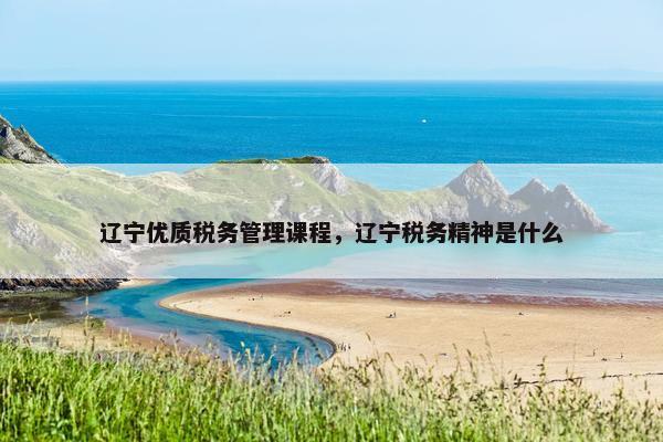 辽宁优质税务管理课程，辽宁税务精神是什么