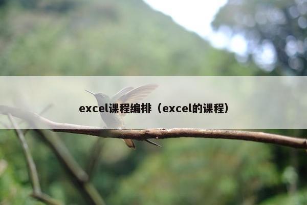 excel课程编排（excel的课程）