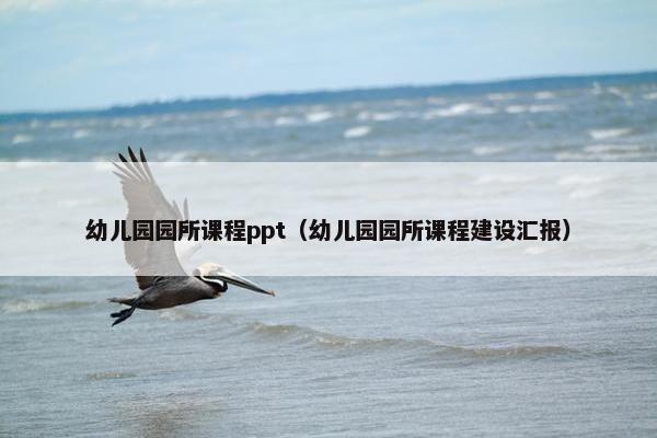 幼儿园园所课程ppt（幼儿园园所课程建设汇报）