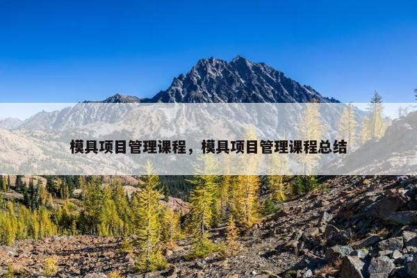 模具项目管理课程，模具项目管理课程总结
