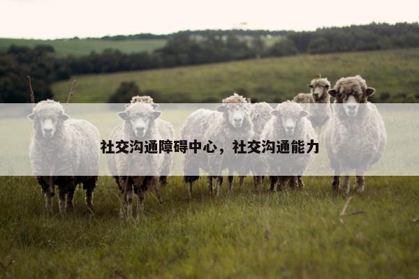 社交沟通障碍中心，社交沟通能力
