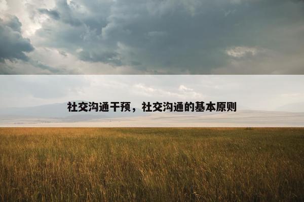 社交沟通干预，社交沟通的基本原则