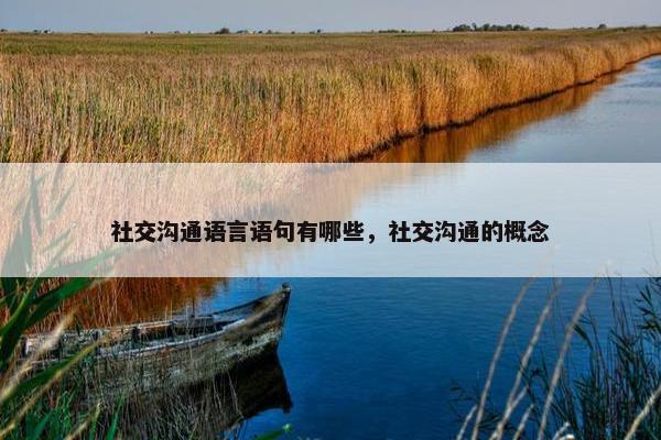 社交沟通语言语句有哪些，社交沟通的概念