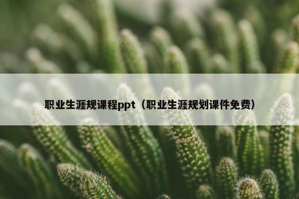 职业生涯规课程ppt（职业生涯规划课件免费）