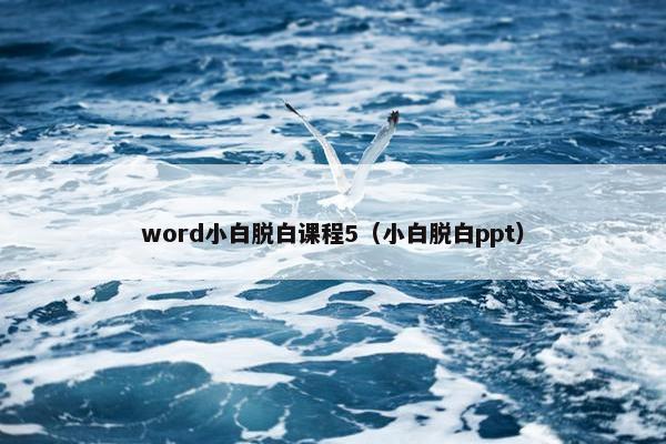 word小白脱白课程5（小白脱白ppt）