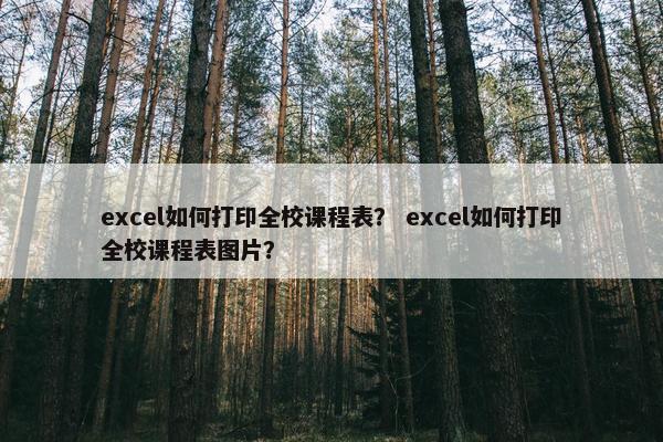 excel如何打印全校课程表？ excel如何打印全校课程表图片？