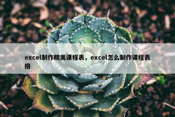excel制作精美课程表，excel怎么制作课程表格