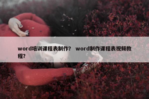 word培训课程表制作？ word制作课程表视频教程？