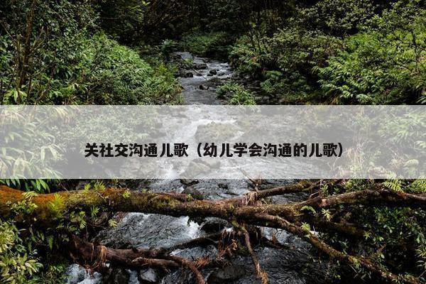 关社交沟通儿歌（幼儿学会沟通的儿歌）