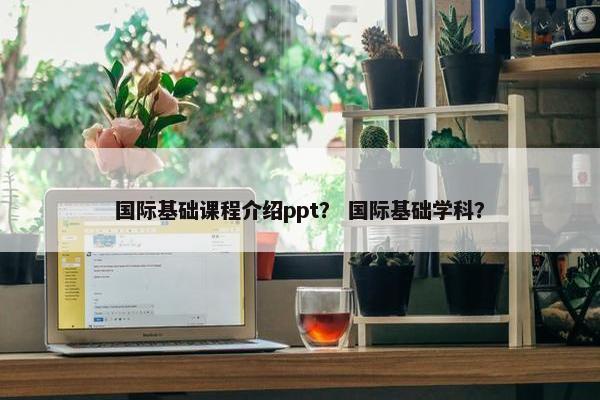 国际基础课程介绍ppt？ 国际基础学科？