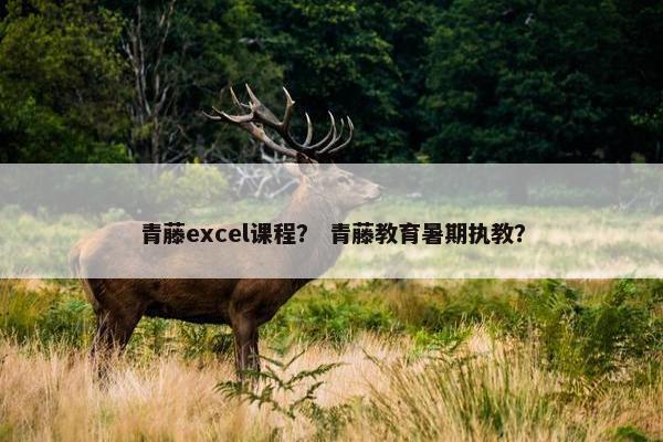 青藤excel课程？ 青藤教育暑期执教？