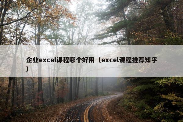 企业excel课程哪个好用（excel课程推荐知乎）