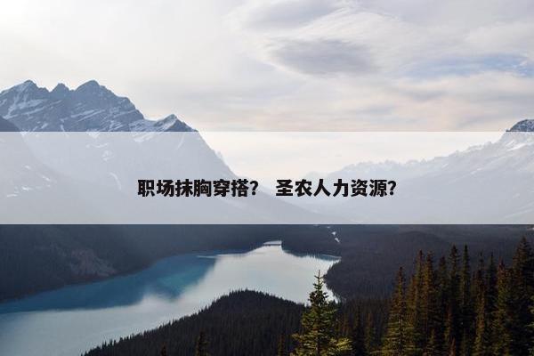 职场抹胸穿搭？ 圣农人力资源？
