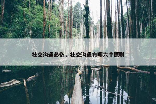 社交沟通必备，社交沟通有哪六个原则