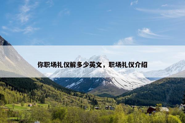 你职场礼仪解多少英文，职场礼仪介绍