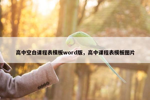 高中空白课程表模板word版，高中课程表模板图片