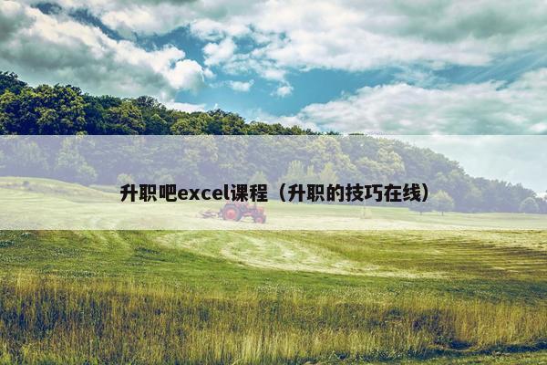 升职吧excel课程（升职的技巧在线）