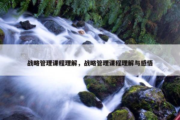 战略管理课程理解，战略管理课程理解与感悟