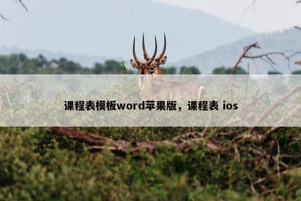课程表模板word苹果版，课程表 ios