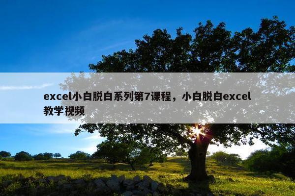 excel小白脱白系列第7课程，小白脱白excel教学视频