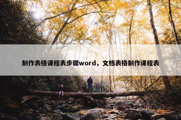 制作表格课程表步骤word，文档表格制作课程表