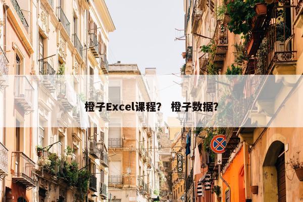 橙子Excel课程？ 橙子数据？