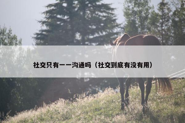 社交只有一一沟通吗（社交到底有没有用）