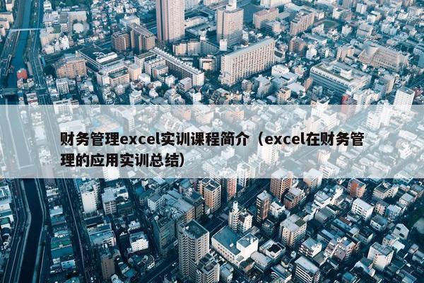 财务管理excel实训课程简介（excel在财务管理的应用实训总结）
