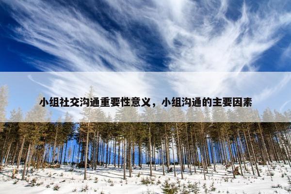 小组社交沟通重要性意义，小组沟通的主要因素