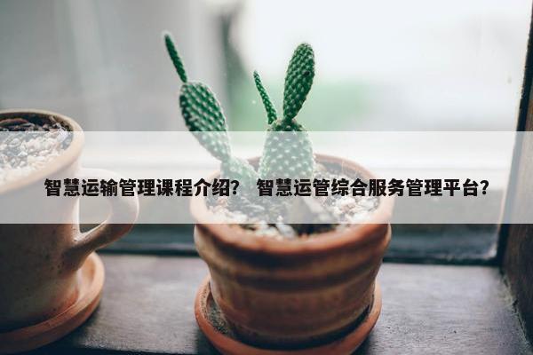智慧运输管理课程介绍？ 智慧运管综合服务管理平台？