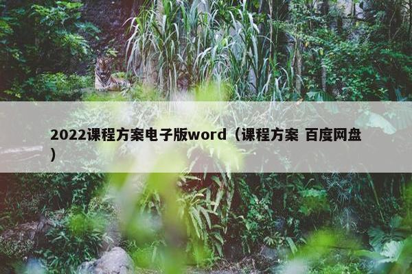 2022课程方案电子版word（课程方案 百度网盘）