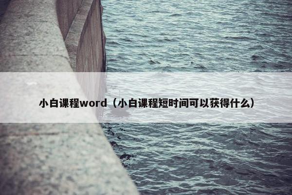 小白课程word（小白课程短时间可以获得什么）