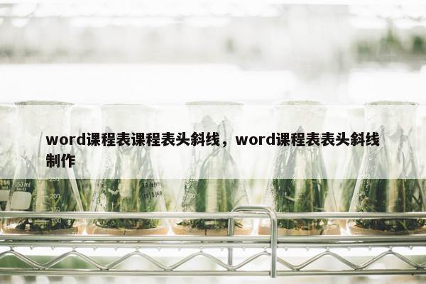 word课程表课程表头斜线，word课程表表头斜线制作